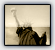 New Posts