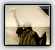 New Posts